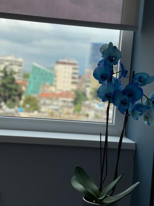 Apartment Voyage Penthouse *